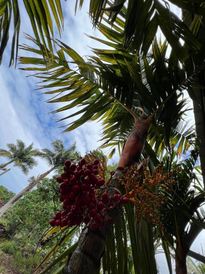 Hawaii Getaway Villa Holualoa Eksteriør bilde